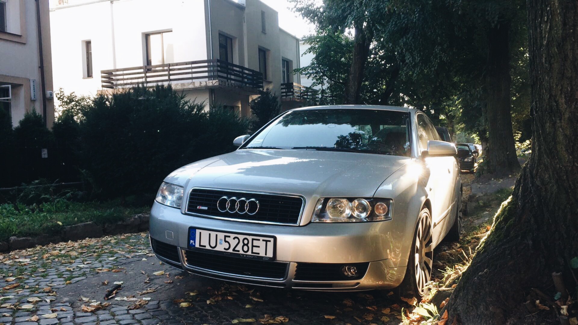 f529ou4d.jpg