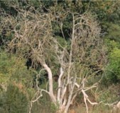 Zum Vergrößern/Verkleinern anklicken http://fs5.directupload.net/images/161006/rxrzaf2f.jpg