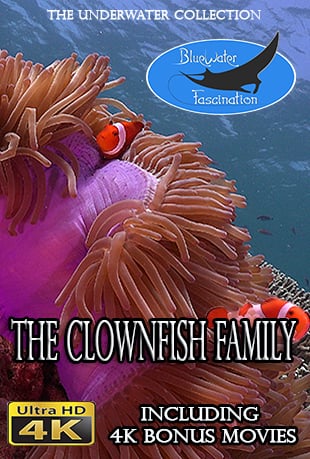 Clownfish.2016.2160p.WEB-DL.AAC2.0.x264-ULTRAHDCLUB