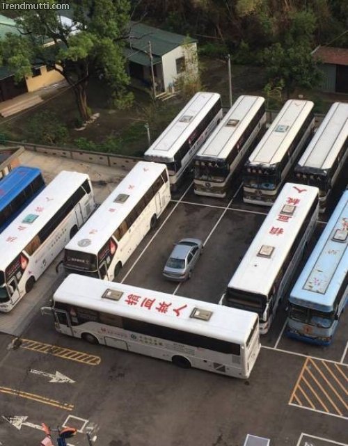 zoh8lcsi.jpg