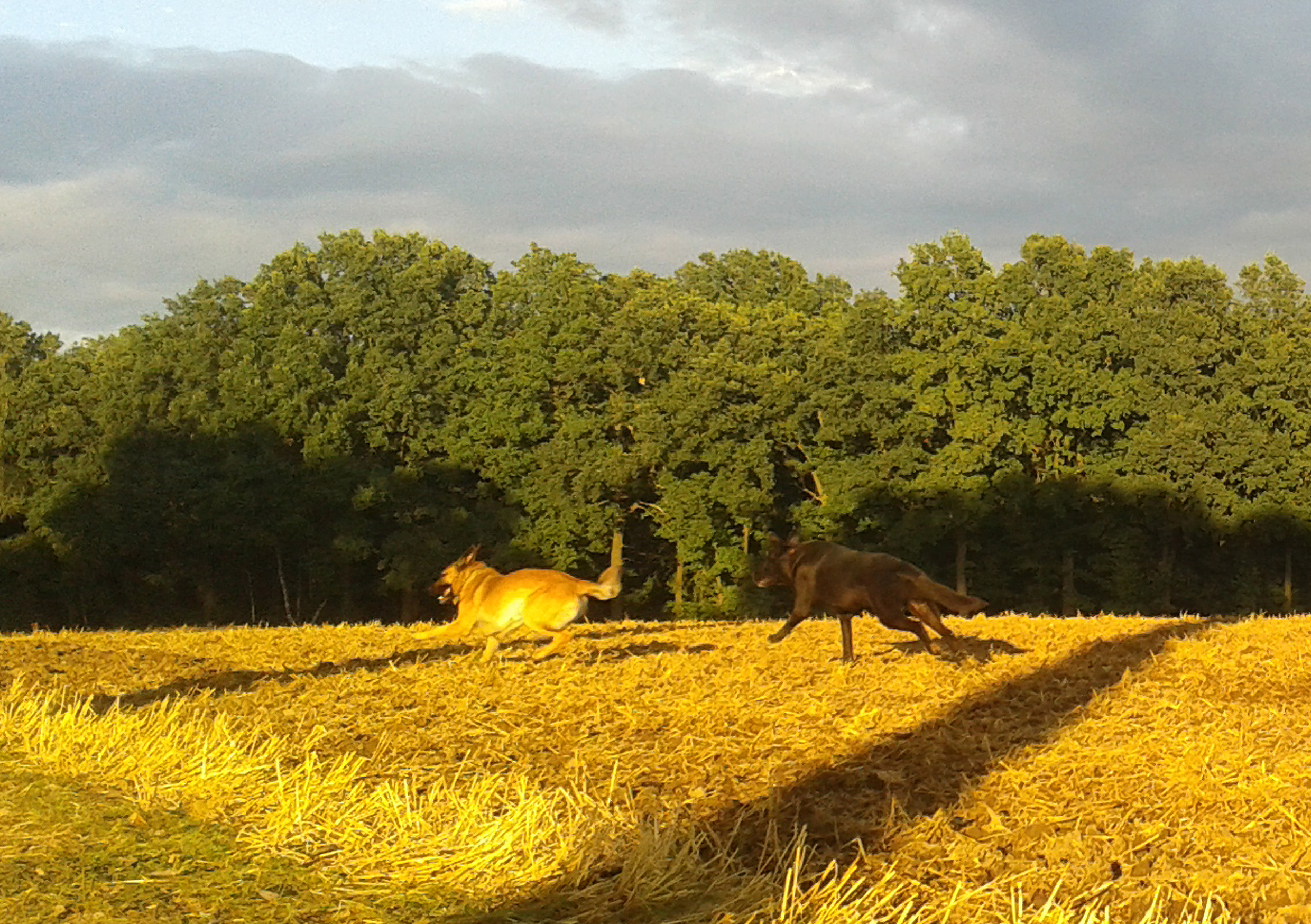 Zum Vergrößern/Verkleinern anklicken http://fs5.directupload.net/images/161015/2yln6ov6.jpg