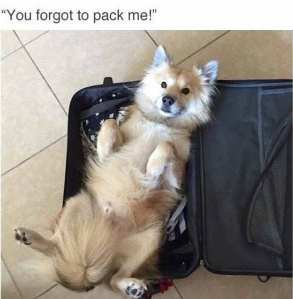 28dql4eb.jpg
