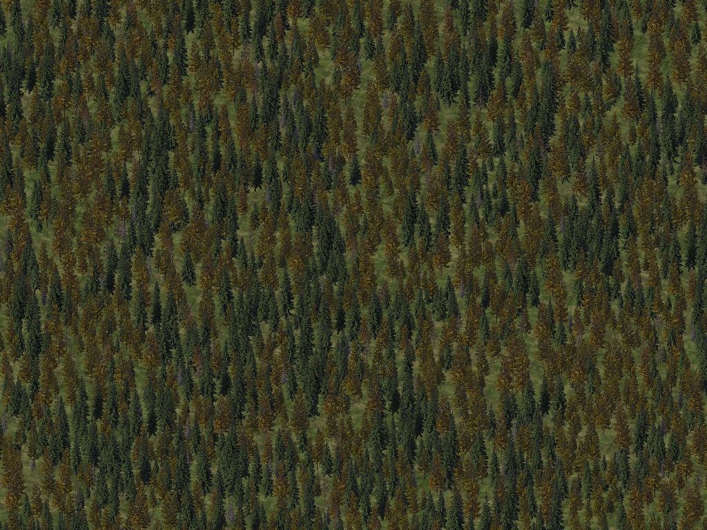 e8xz9w3y.jpg