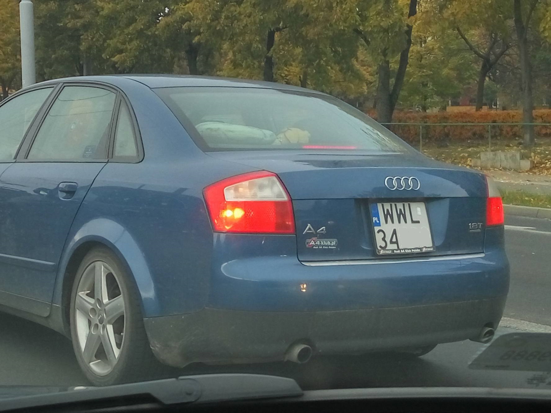 xzyl4yg8.jpg