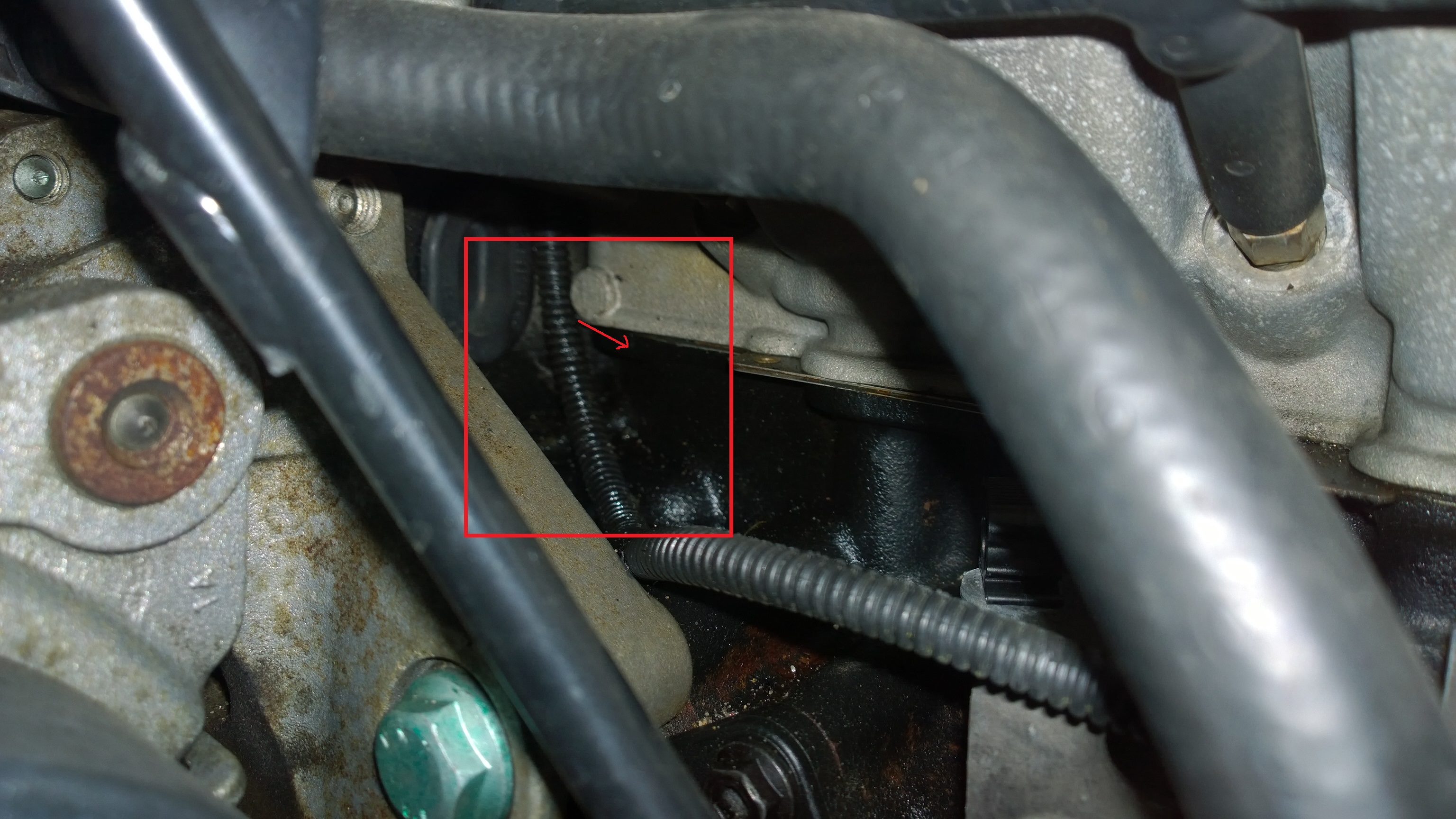 g94594n5.jpg