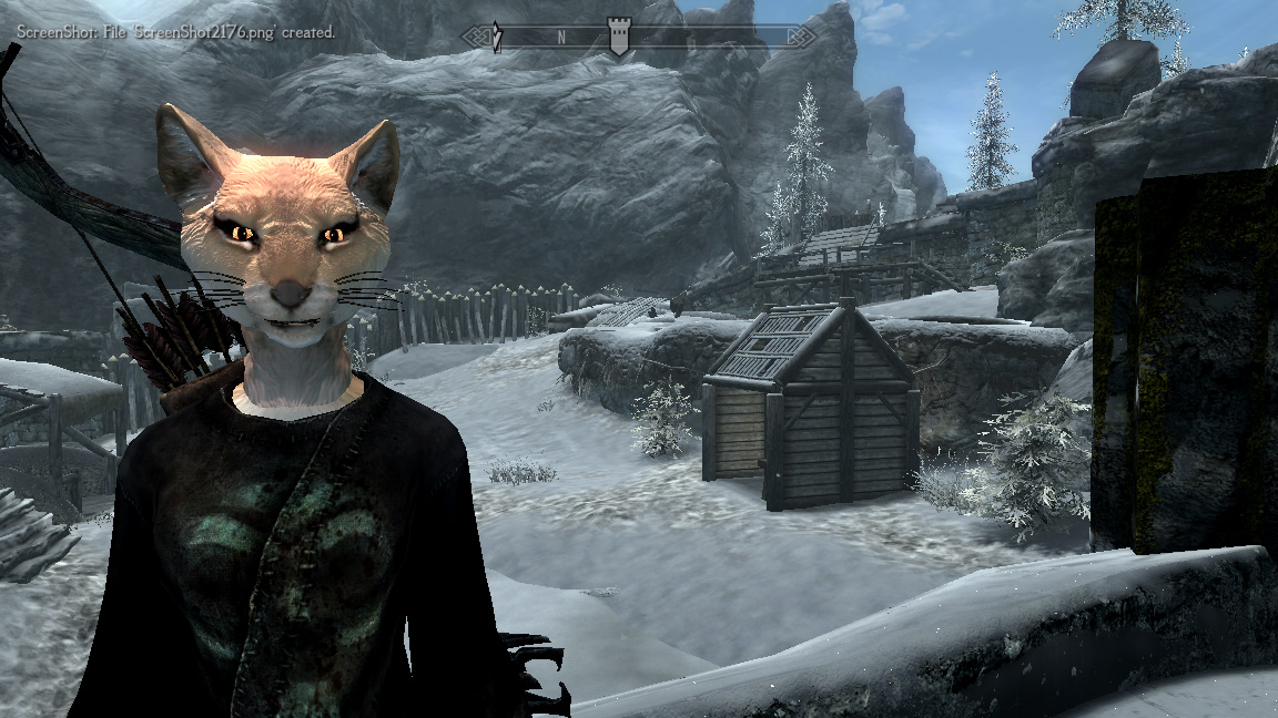 I hope some day also a cute bunny-like furry is made for Skyrim. 