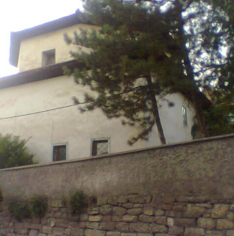 cami