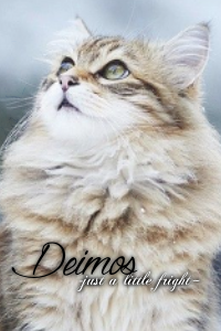 Deimos