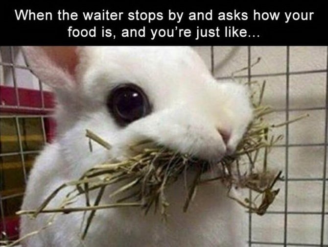 twfpxul9.jpg