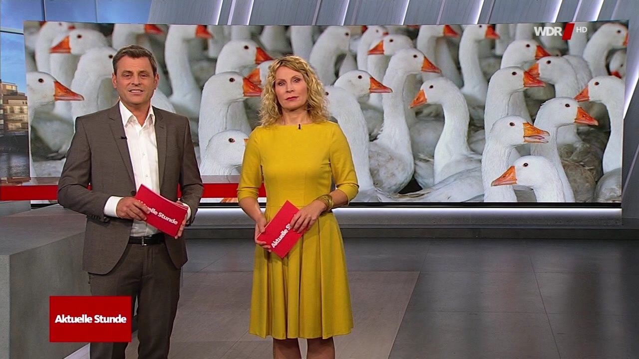 Susanne Wieseler und Zugabe Susanne Wieseler und Zugabe