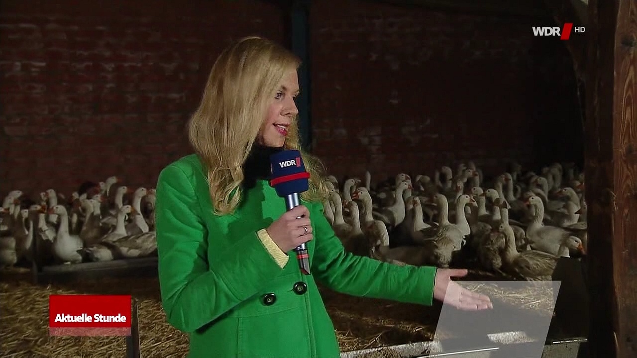 Susanne Wieseler und Zugabe Susanne Wieseler und Zugabe