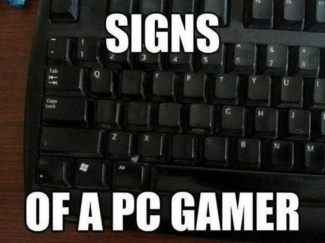 gpvd37pf.jpg