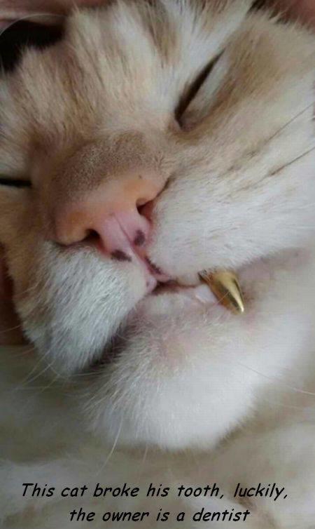 vhom8yf4.jpg