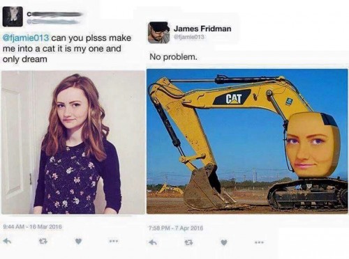 mb9y7c8d.jpg