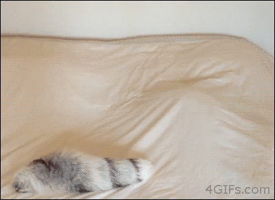 tadspb4i.gif