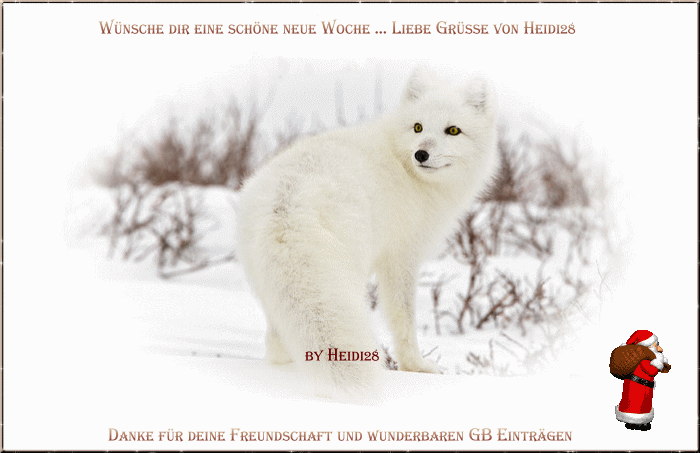 An den Beitrag angehängtes Bild: http://fs5.directupload.net/images/161219/rnus7bhh.gif