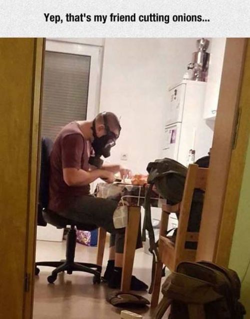 vngszkzs.jpg