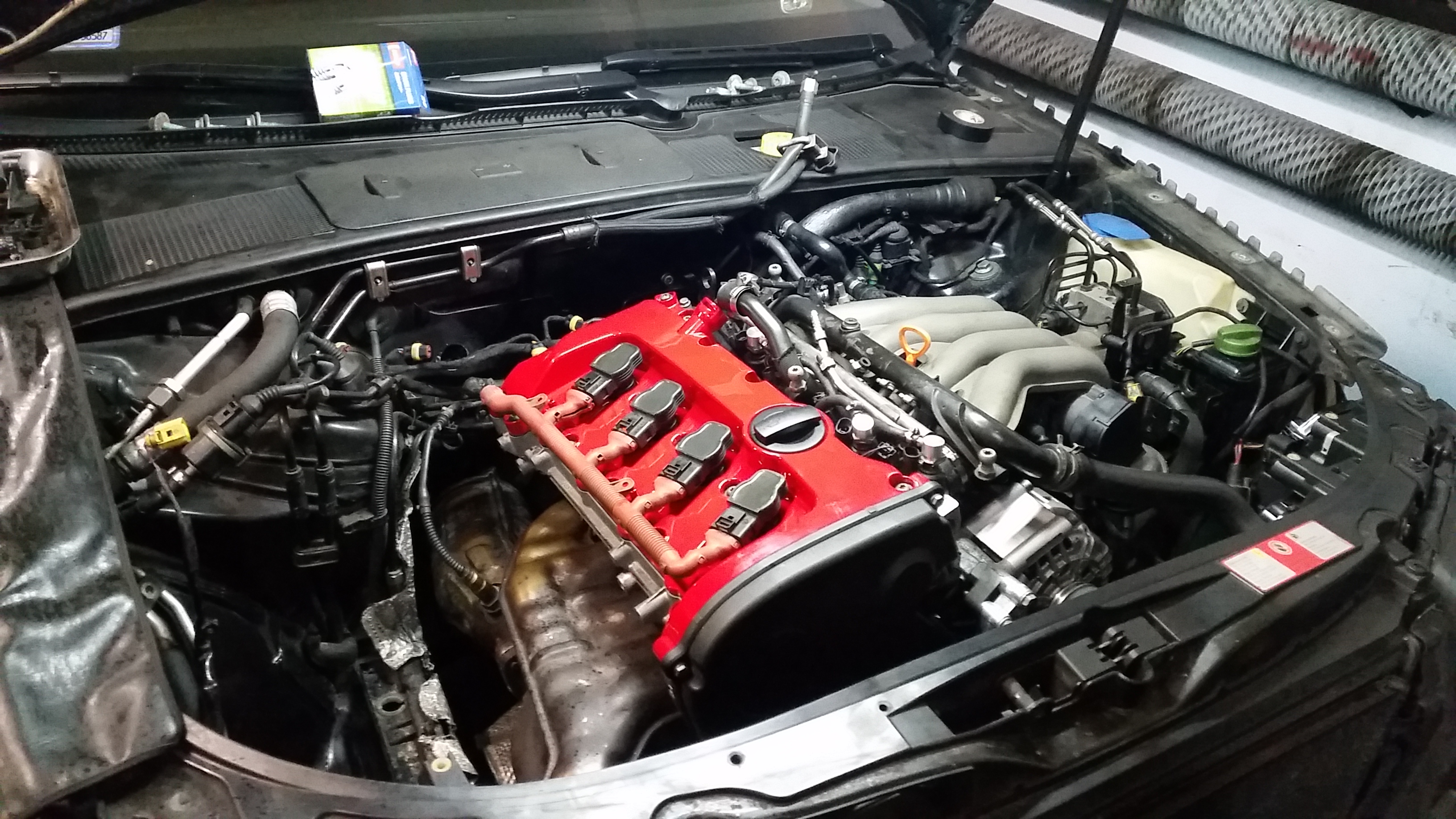 56gw9iur.jpg