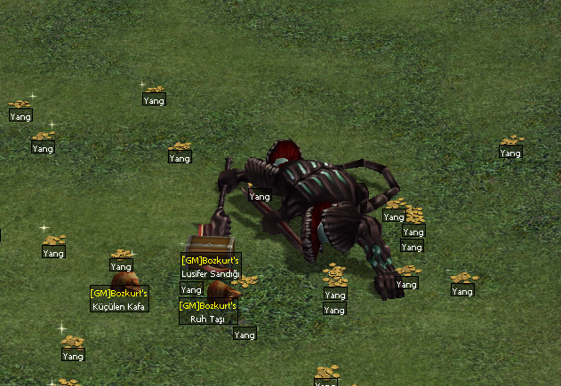 zk3fw5qt.jpg