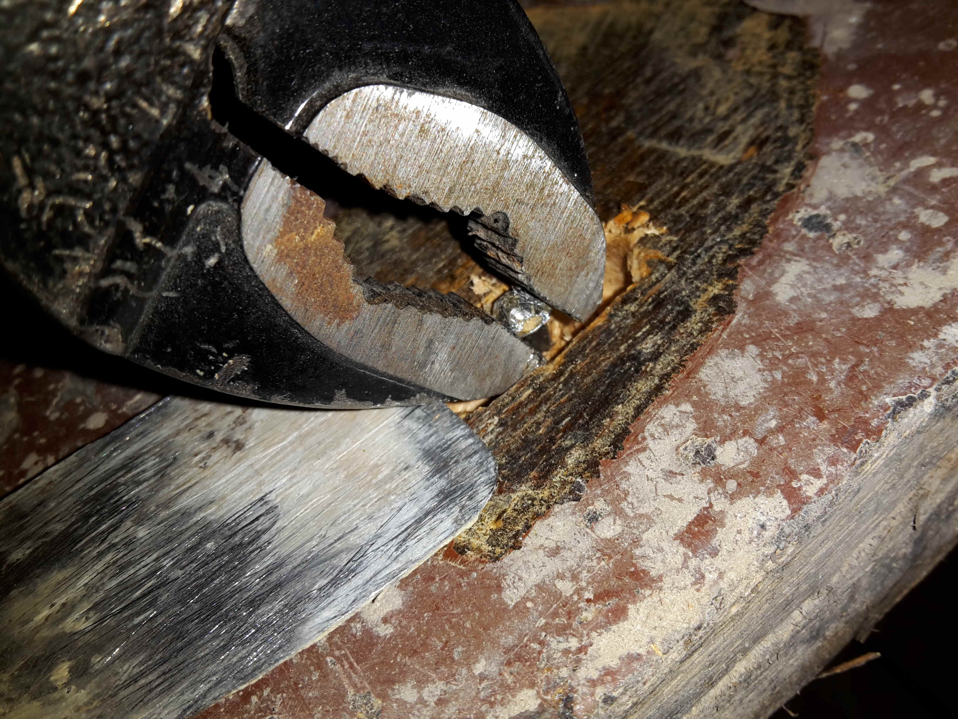 alternative für die Tür