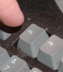 tdxofqe7.gif