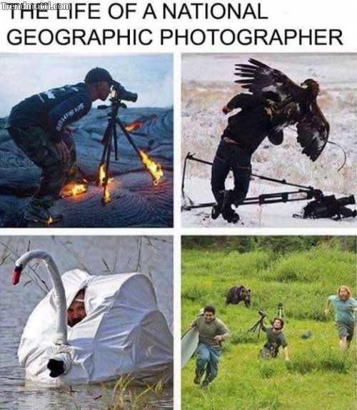 vs427ejm.jpg