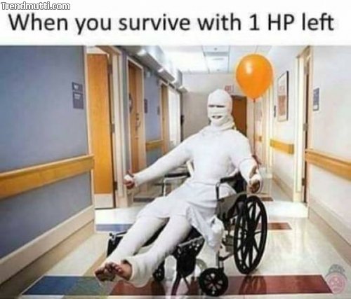 x2ol4dx9.jpg