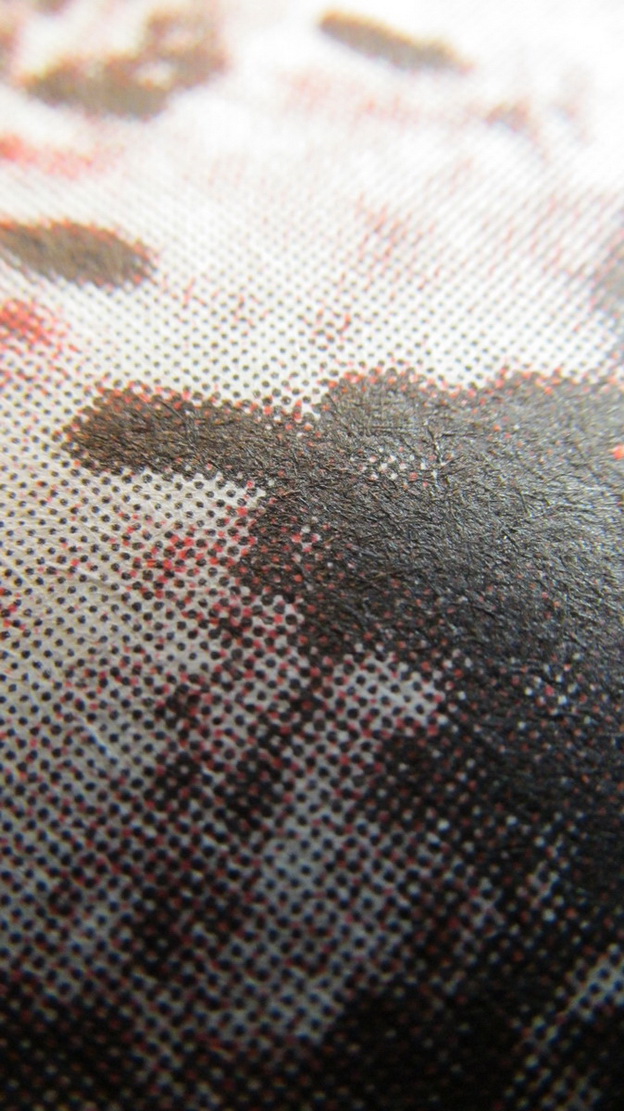 Kostenlos Bilder und Fotos hochladen hg8zsbqi.jpg