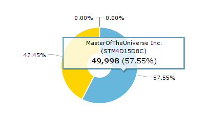 Shareholders Pie Chart