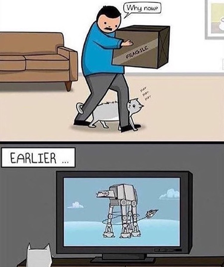 7hqelmpb.jpg