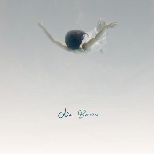 Dia Frampton - Bruises (2017) Dia Frampton - Bruises (2017)
