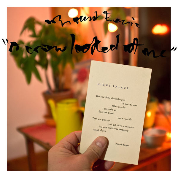 Mount Eerie - A Crow Looked at Me (2017) Mount Eerie - A Crow Looked at Me (2017)