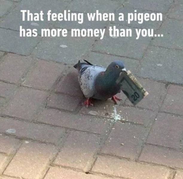 ewem9w6r.jpg