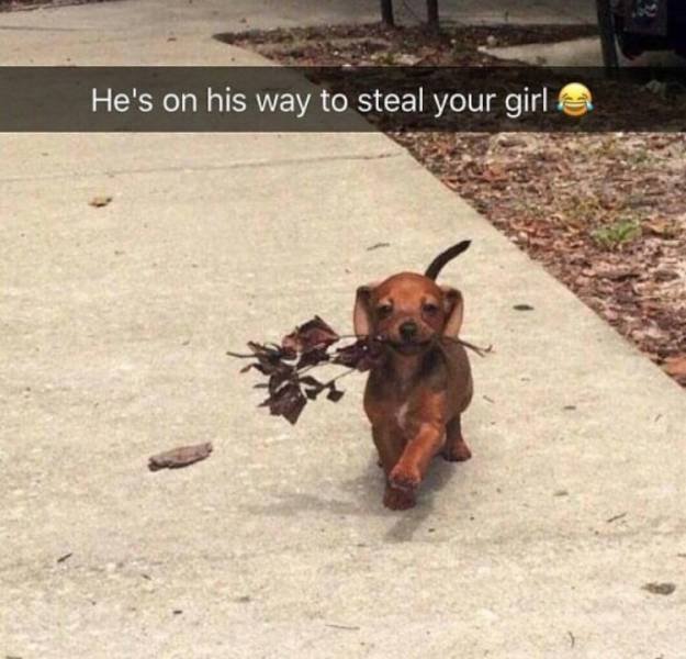 yllxwvqd.jpg