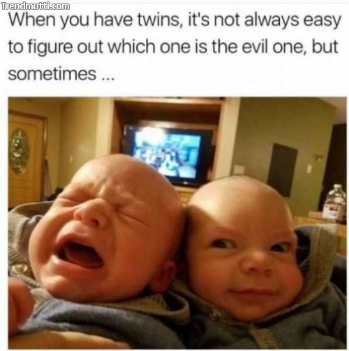 fpxm6y6k.jpg