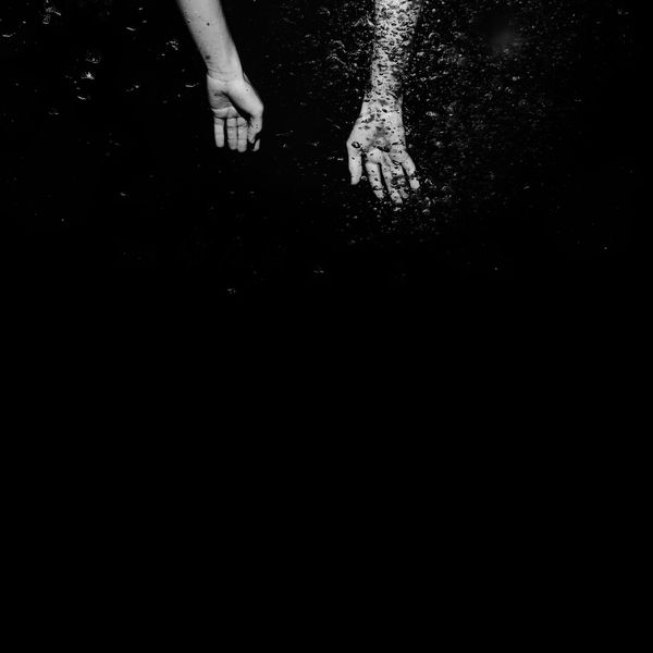 The Maine - Lovely, Little, Lonely (2017) The Maine - Lovely, Little, Lonely (2017)