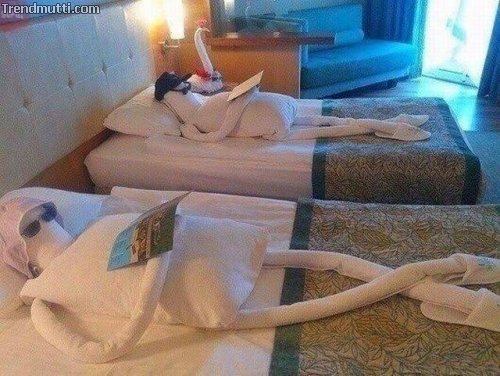 pu4hmtar.jpg