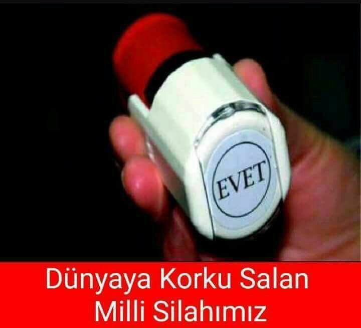 6r9toizl.jpg