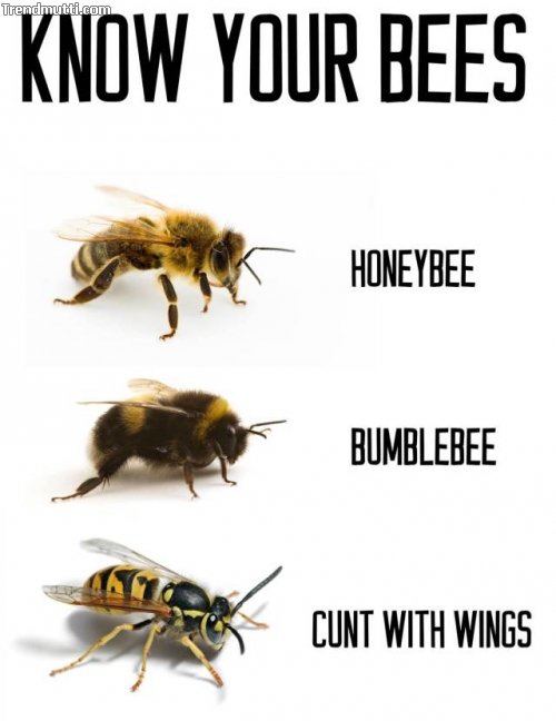 yxkixhk2.jpg