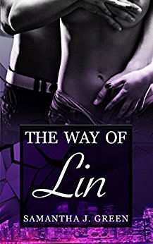 ebooks Cover for Spin off - The Way of Lin