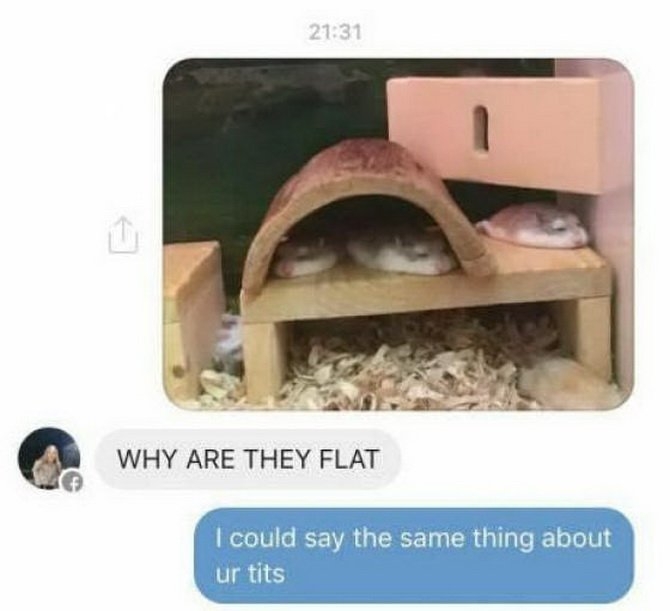 3qa5zboc.jpg