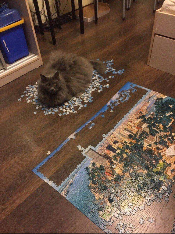3qsizq6t.jpg