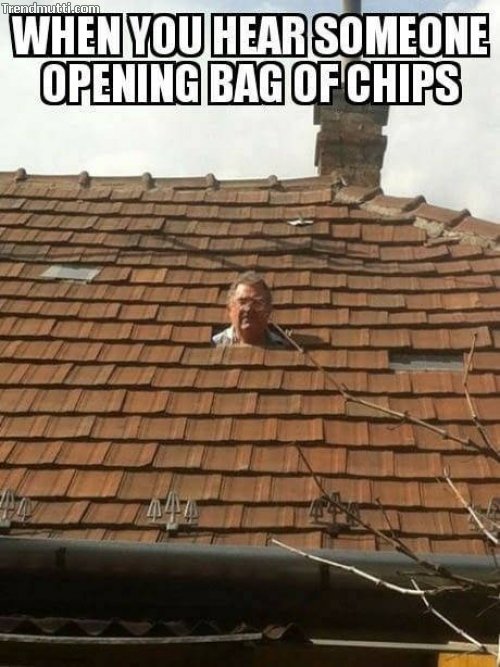 q5jzfpnr.jpg