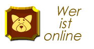 Wer ist online?