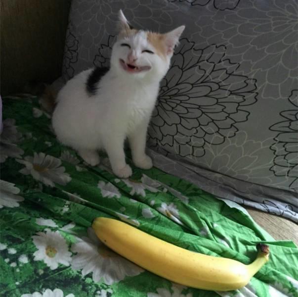 ibppa2z3.jpg