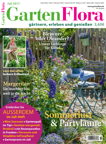 ow63szpy.png