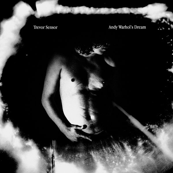 Trevor Sensor - Andy Warhol's Dream (2017) Trevor Sensor - Andy Warhol's Dream (2017)