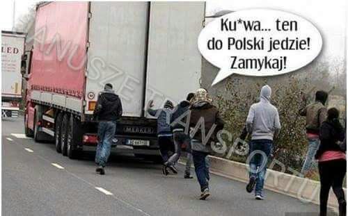 veocg9fk.jpg