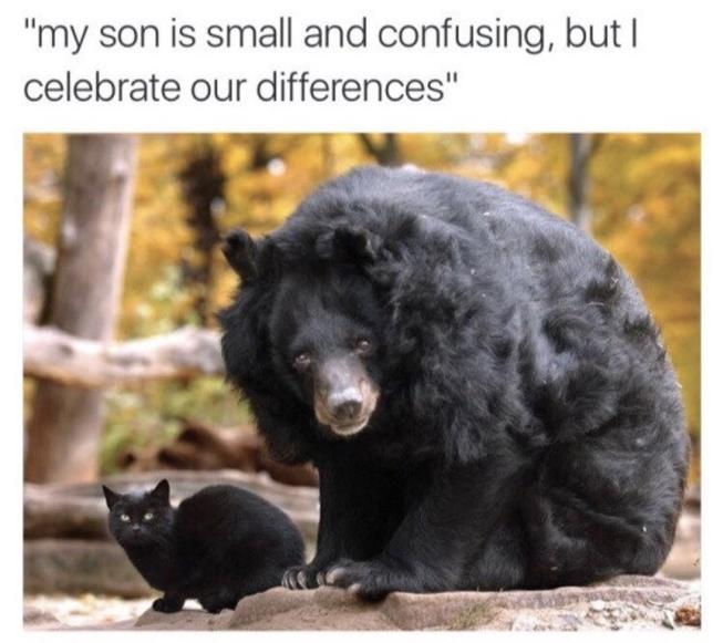 ff7rw27b.jpg