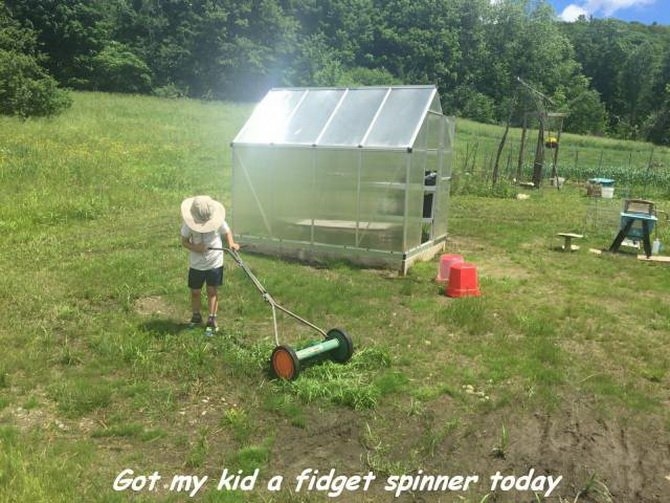 wiwm6cel.jpg